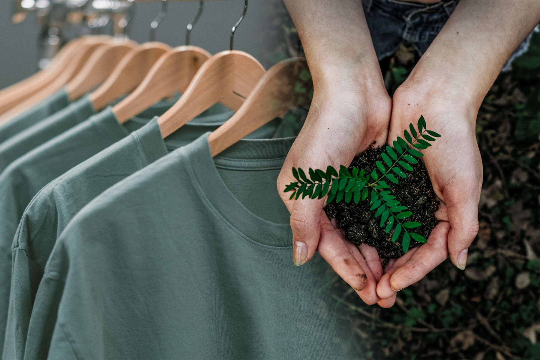Sustainable Style on the Rise
