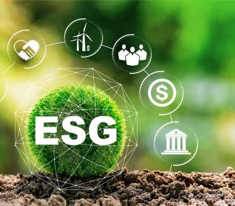 Strategic Decarbonization Roadmap Development: Moving Indian Textiles from Intent to Execution