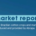 Abrapa Cotton Brazil Report – April 2026